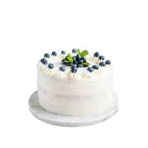 Blueberry Vanilla Cake