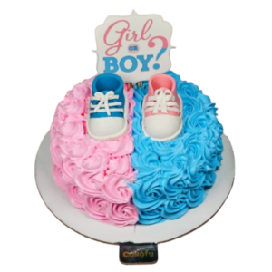 Baby Boy or Girl Cake