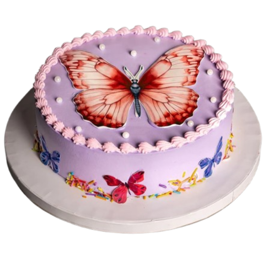 1st Birthday Cakes